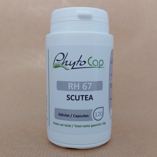 [RH67] SCUTEA SCUTELLAIRE (120Gél)