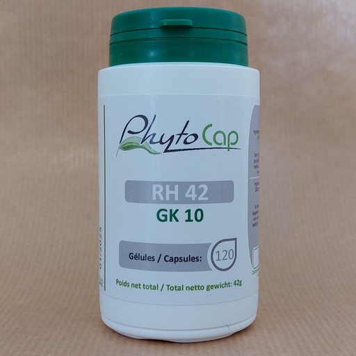 [RH42] GK10 (120Gél)