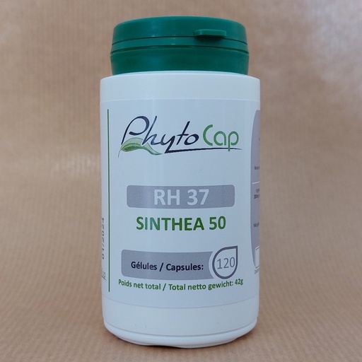 [RH37] SINTHEA 50 (120Gél)